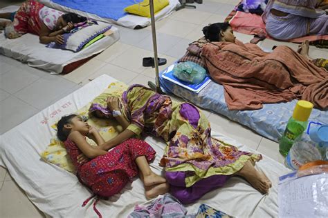 Dengue outbreak in Bangladesh sparks alarm after 364 people die this year and infections rise